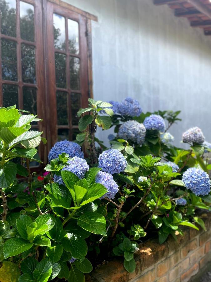파우메이라스 Casa Mirante Do Capao 빌라 외부 사진