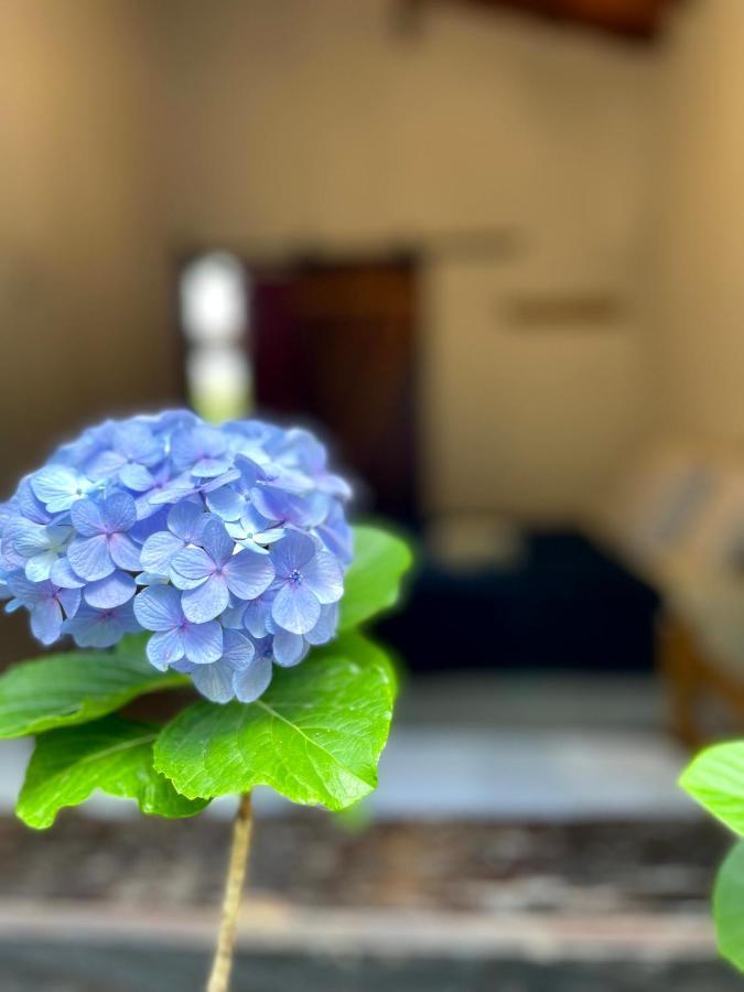 파우메이라스 Casa Mirante Do Capao 빌라 외부 사진