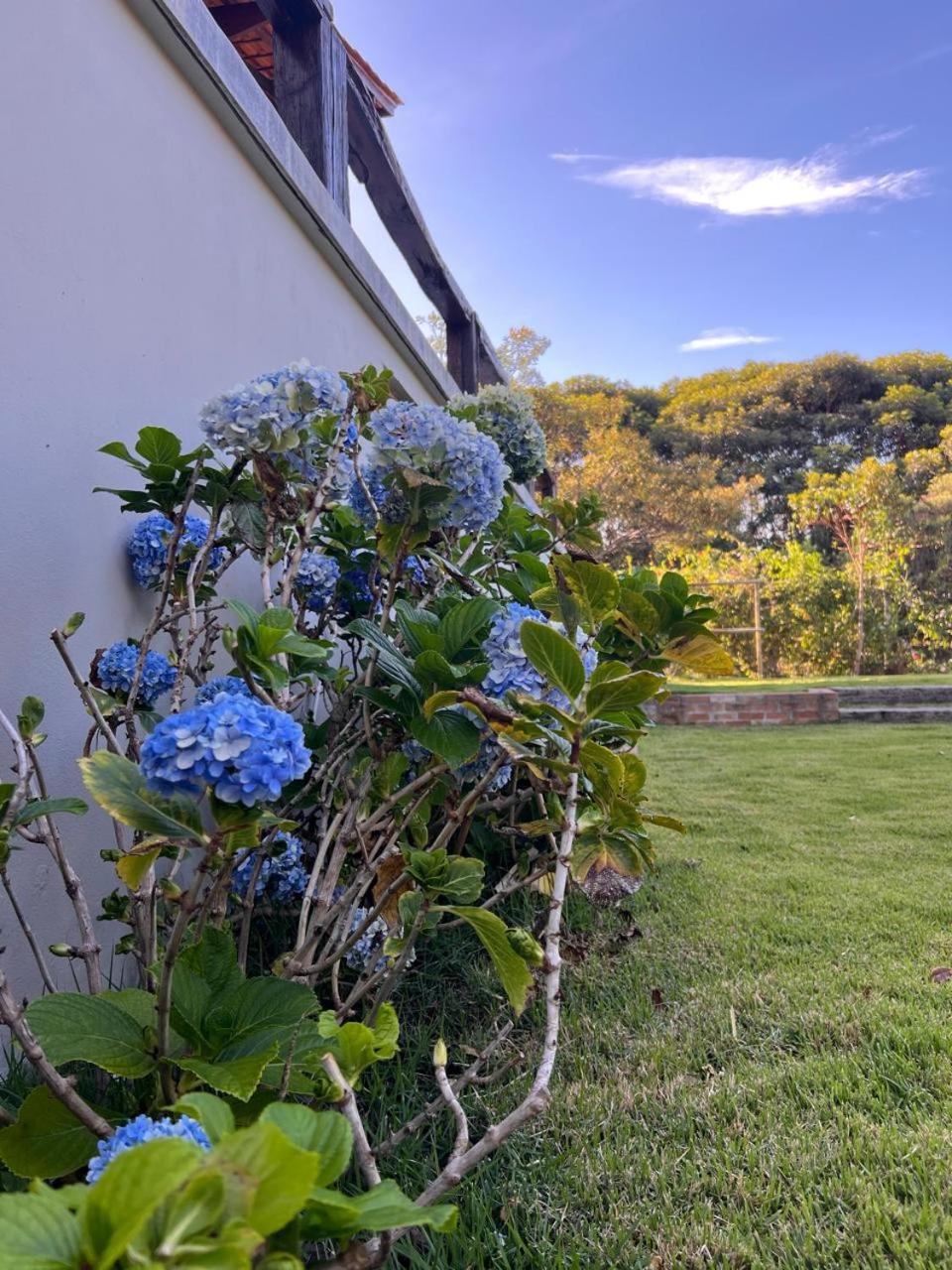 파우메이라스 Casa Mirante Do Capao 빌라 외부 사진